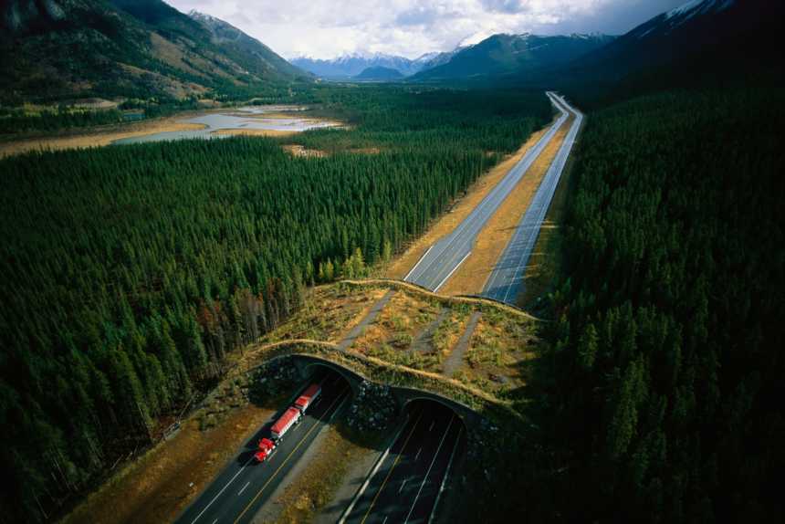 Banff National Park Wildlife overpass