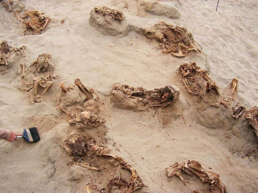 Preserved in dry sand for more than 500 years, more than a dozen children were revealed over the course of a day by archaeologists. The majority of the ritual victims were between eight and 12 years old when they died.