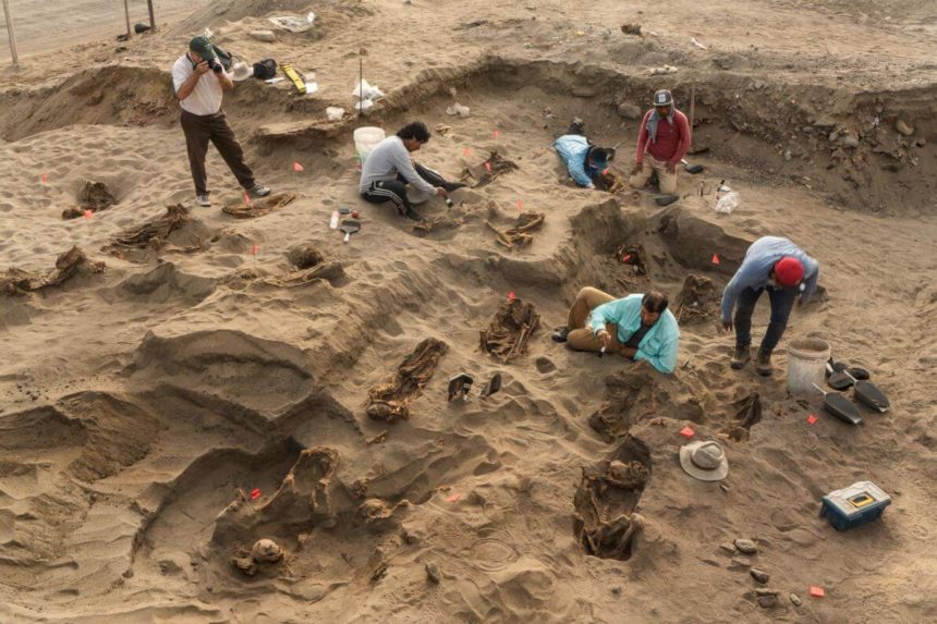 Archaeologist excavating the coastal lot where the ritual event took place more than 500 years ago.