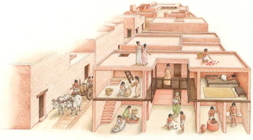 House and Daily life of Harappan People