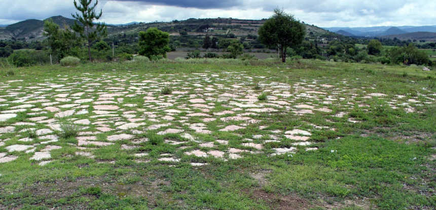 The surface of the Etlatongo site prior to excavation.