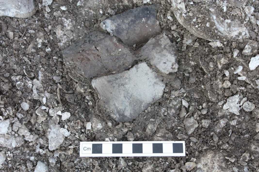 Pottery fragments found at the Havno kitchen midden, Northern Denmark