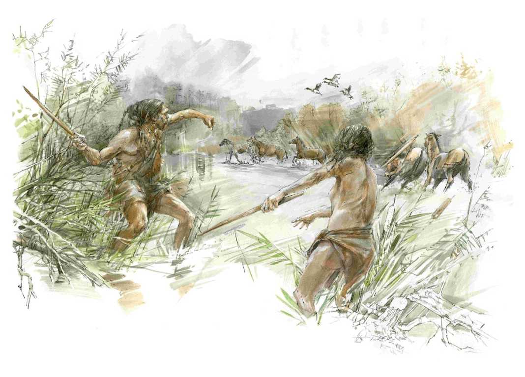 Hunters on the Schöningen lakeshore likely used the throwing stick to hunt waterbirds or to drive horses to where they would be killed with spears.