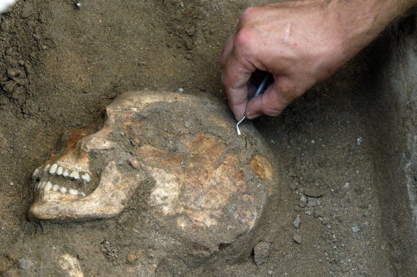 An archaeologist unearths the skull of an inhabitant of Sidon, a once-thriving Canaanite port on the coast of Lebanon. This individual lived around 1800 B.C.