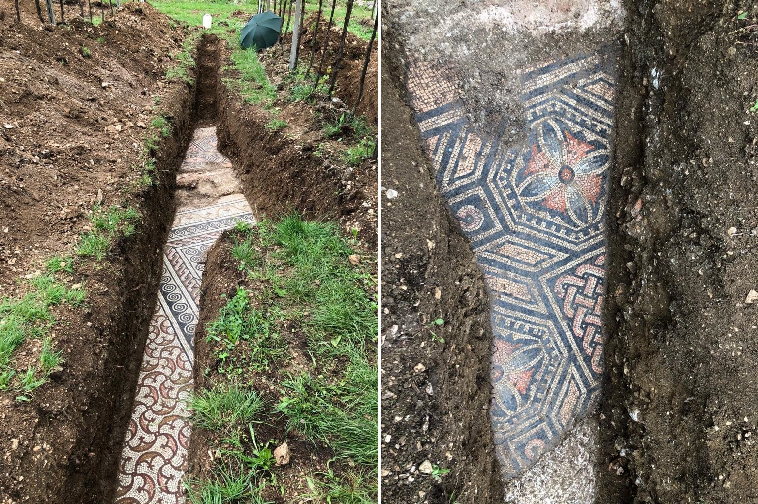  Roman  mosaic floor  has been discovered under a vineyard in 