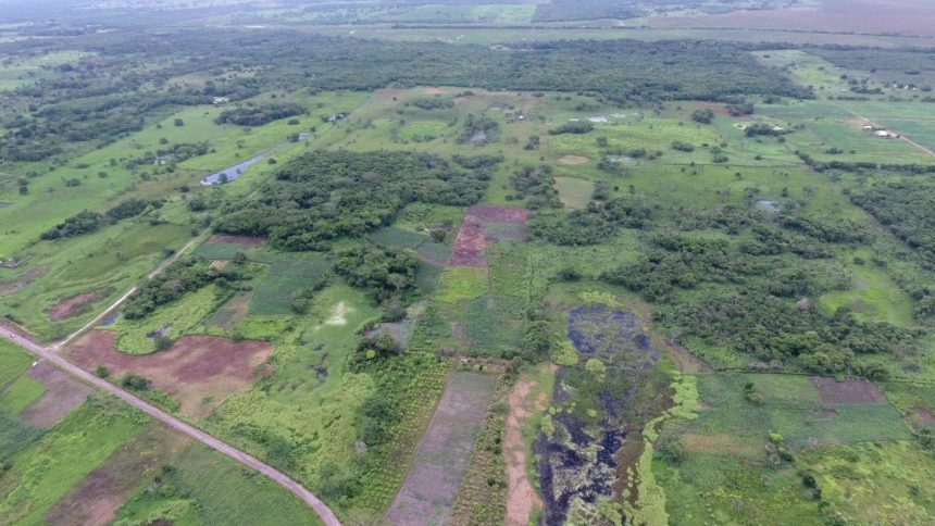 An aerial view of Aguada Fénix without LiDAR shows how the monument "hides" in semi-forested ranch land.