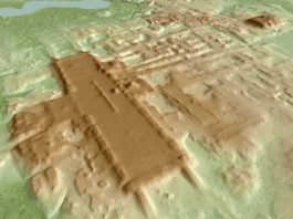 3D image of the site of Aguada Fenix based on lidar.